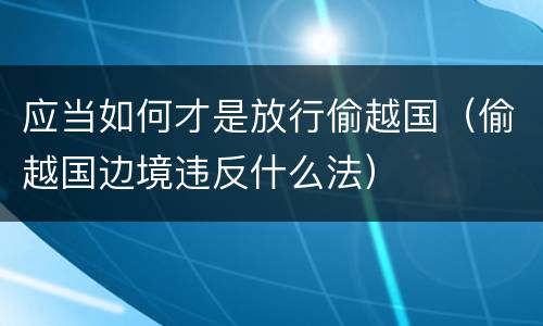 应当如何才是放行偷越国（偷越国边境违反什么法）
