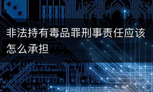 非法持有毒品罪刑事责任应该怎么承担