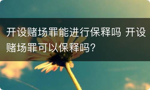 开设赌场罪能进行保释吗 开设赌场罪可以保释吗?