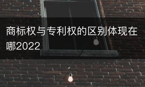 商标权与专利权的区别体现在哪2022