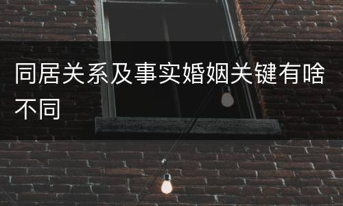 同居关系及事实婚姻关键有啥不同
