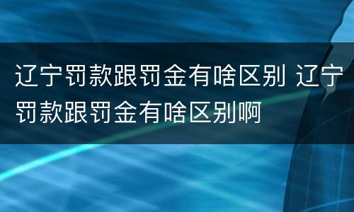 辽宁罚款跟罚金有啥区别 辽宁罚款跟罚金有啥区别啊