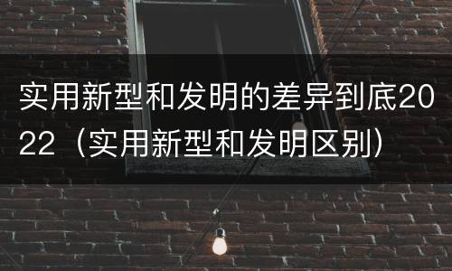 实用新型和发明的差异到底2022（实用新型和发明区别）