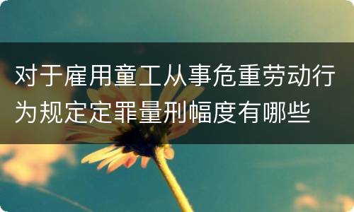 对于雇用童工从事危重劳动行为规定定罪量刑幅度有哪些