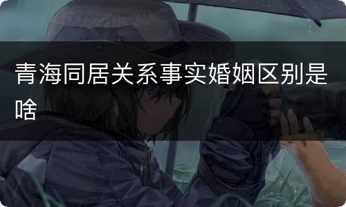 青海同居关系事实婚姻区别是啥