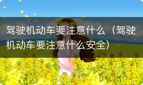 驾驶机动车要注意什么（驾驶机动车要注意什么安全）