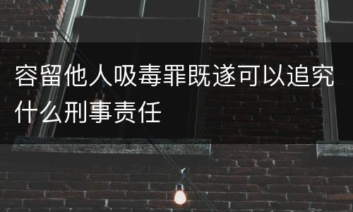 容留他人吸毒罪既遂可以追究什么刑事责任