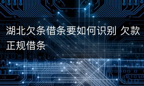 湖北欠条借条要如何识别 欠款正规借条