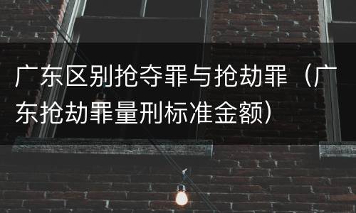 广东区别抢夺罪与抢劫罪（广东抢劫罪量刑标准金额）