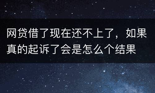 网贷借了现在还不上了，如果真的起诉了会是怎么个结果