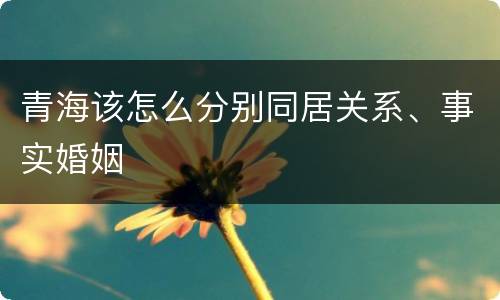 青海该怎么分别同居关系、事实婚姻