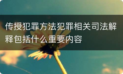 传授犯罪方法犯罪相关司法解释包括什么重要内容