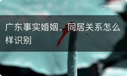 广东事实婚姻、同居关系怎么样识别