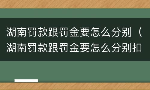 湖南罚款跟罚金要怎么分别（湖南罚款跟罚金要怎么分别扣）