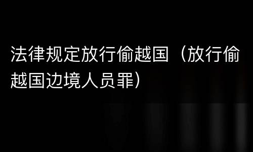 法律规定放行偷越国（放行偷越国边境人员罪）