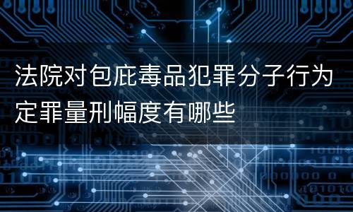 法院对包庇毒品犯罪分子行为定罪量刑幅度有哪些