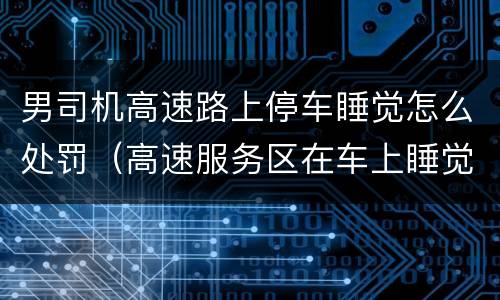 男司机高速路上停车睡觉怎么处罚（高速服务区在车上睡觉要罚款吗）