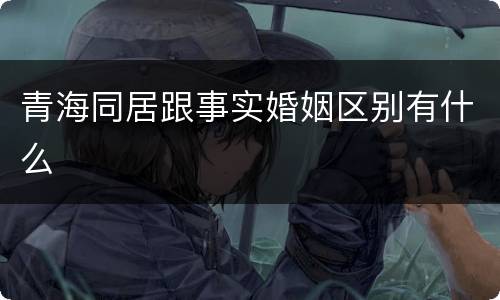 青海同居跟事实婚姻区别有什么