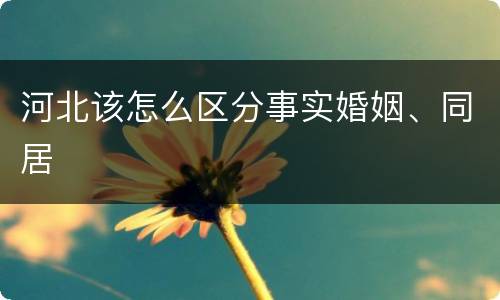 河北该怎么区分事实婚姻、同居