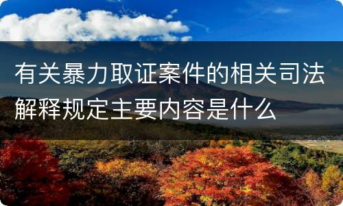 有关暴力取证案件的相关司法解释规定主要内容是什么