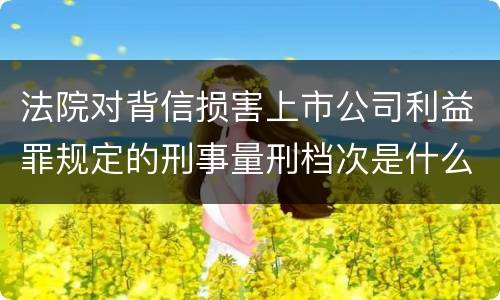 法院对背信损害上市公司利益罪规定的刑事量刑档次是什么样的