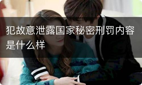 犯故意泄露国家秘密刑罚内容是什么样