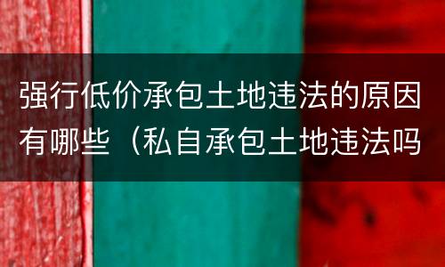 强行低价承包土地违法的原因有哪些（私自承包土地违法吗）