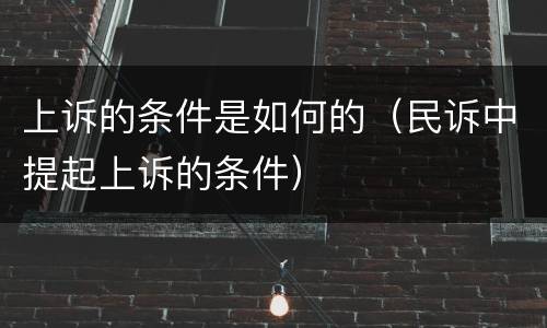 上诉的条件是如何的（民诉中提起上诉的条件）