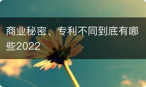 商业秘密、专利不同到底有哪些2022
