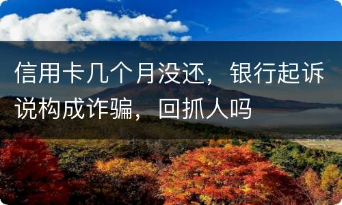 信用卡几个月没还，银行起诉说构成诈骗，回抓人吗