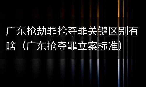 广东抢劫罪抢夺罪关键区别有啥（广东抢夺罪立案标准）