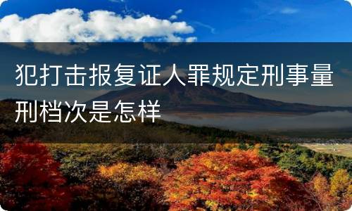 犯打击报复证人罪规定刑事量刑档次是怎样