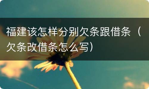 福建该怎样分别欠条跟借条（欠条改借条怎么写）