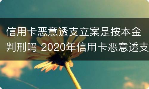 信用卡恶意透支立案是按本金判刑吗 2020年信用卡恶意透支判刑案例