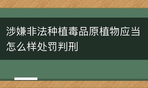 涉嫌非法种植毒品原植物应当怎么样处罚判刑