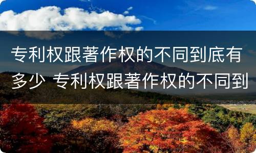 专利权跟著作权的不同到底有多少 专利权跟著作权的不同到底有多少年