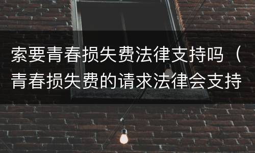 索要青春损失费法律支持吗（青春损失费的请求法律会支持吗）