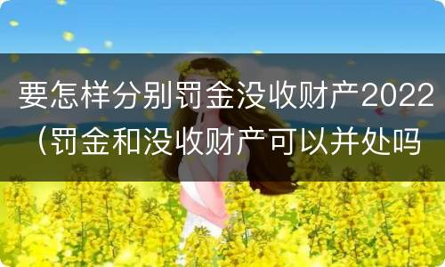 要怎样分别罚金没收财产2022（罚金和没收财产可以并处吗）