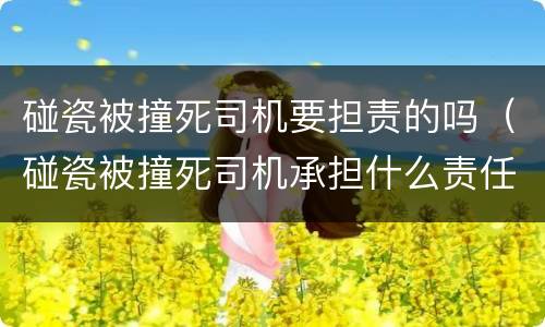 碰瓷被撞死司机要担责的吗（碰瓷被撞死司机承担什么责任）