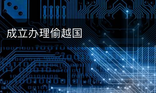 成立办理偷越国