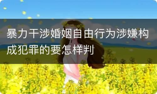 暴力干涉婚姻自由行为涉嫌构成犯罪的要怎样判
