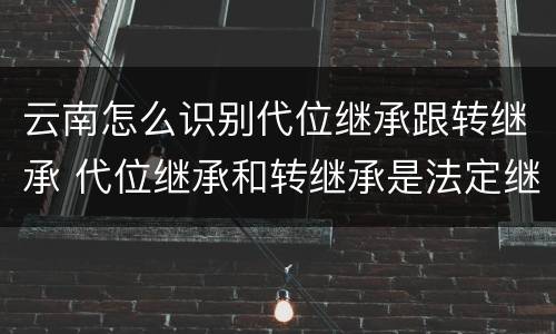 云南怎么识别代位继承跟转继承 代位继承和转继承是法定继承吗