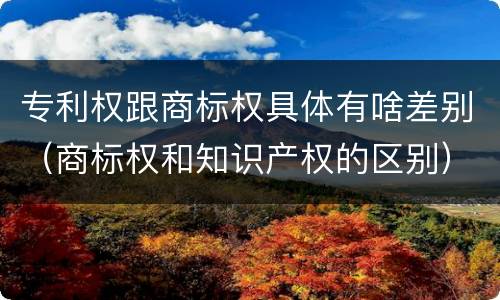 专利权跟商标权具体有啥差别（商标权和知识产权的区别）