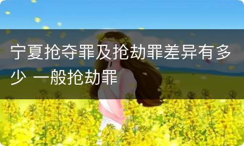 宁夏抢夺罪及抢劫罪差异有多少 一般抢劫罪