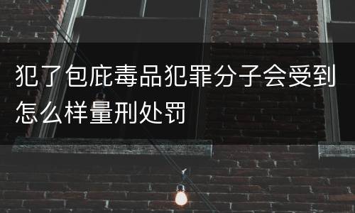 犯了包庇毒品犯罪分子会受到怎么样量刑处罚