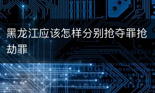 黑龙江应该怎样分别抢夺罪抢劫罪