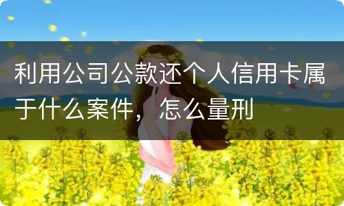 利用公司公款还个人信用卡属于什么案件，怎么量刑