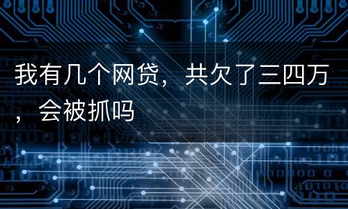 我有几个网贷，共欠了三四万，会被抓吗
