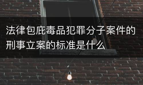 法律包庇毒品犯罪分子案件的刑事立案的标准是什么
