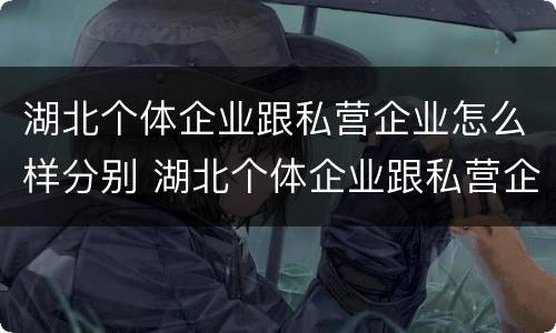 湖北个体企业跟私营企业怎么样分别 湖北个体企业跟私营企业怎么样分别呢